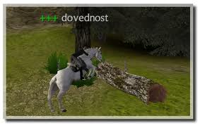 images (10)